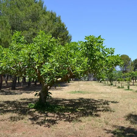 La Casa Dei Nonni Сasa de vacaciones Soleto